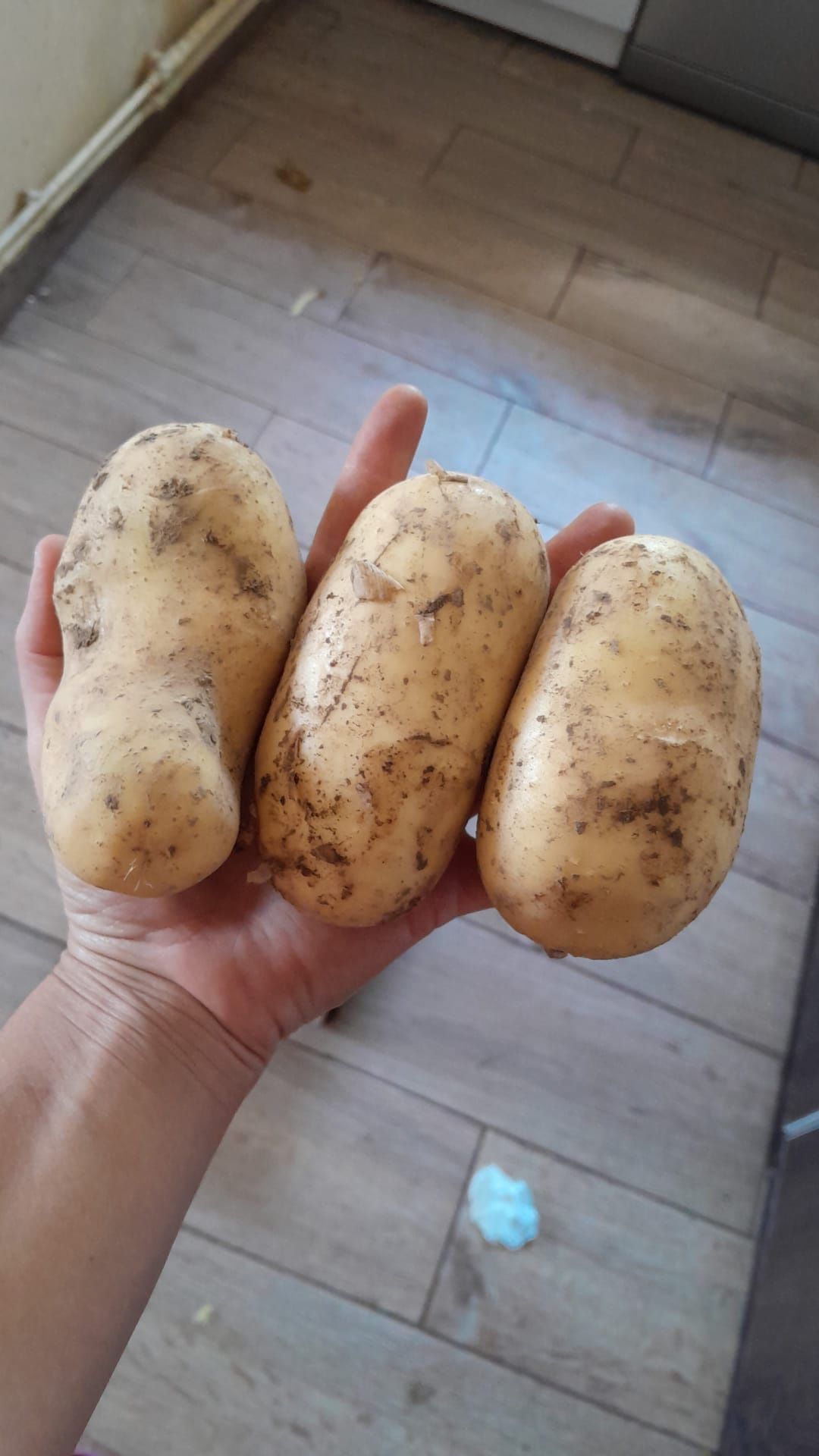 Cartofi noi de casa
