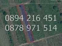 КОДг 61215. Лозе 8дка Каберне и Мерло от две години не е поддържано.