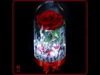 Вечна Роза в ГОЛЯМА Стъкленица / ХИТ Подарък за Годишнина от Сватбата