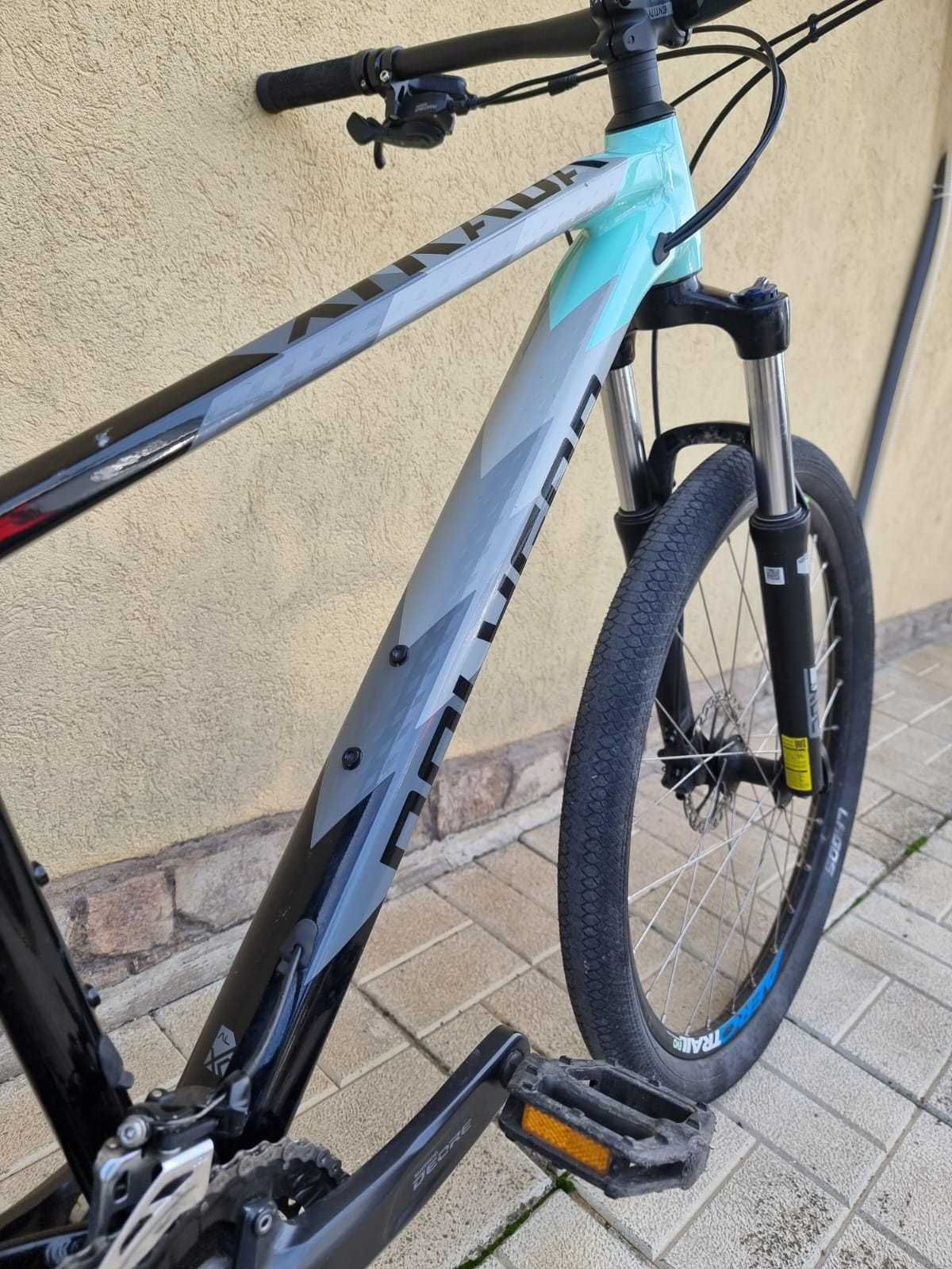 Polygon Xtrada 5