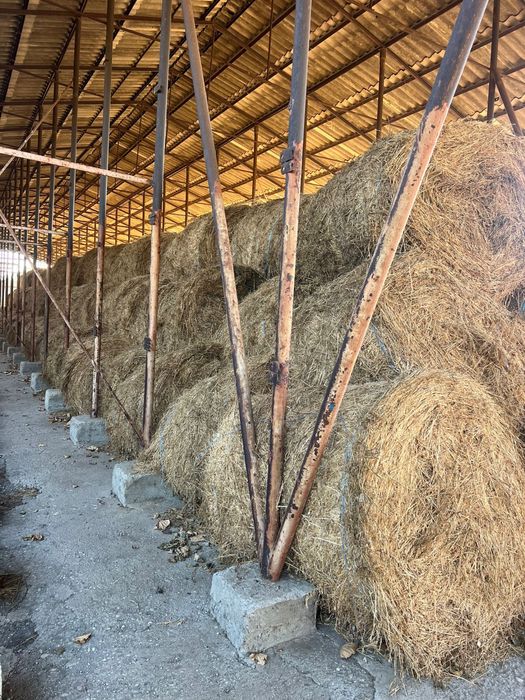 Vand baloti de lucerna