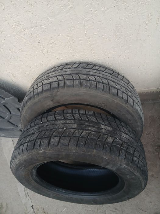 TRIANGLE Snow Lion 215/60/R16 зимние
