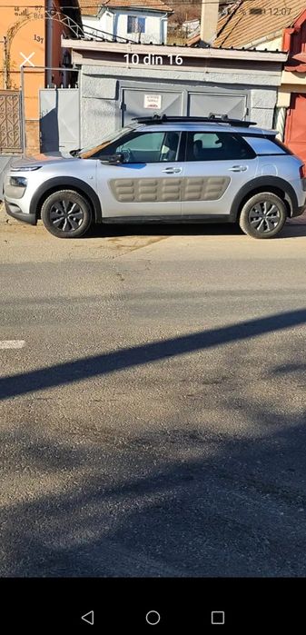 Citron c4 Cactus