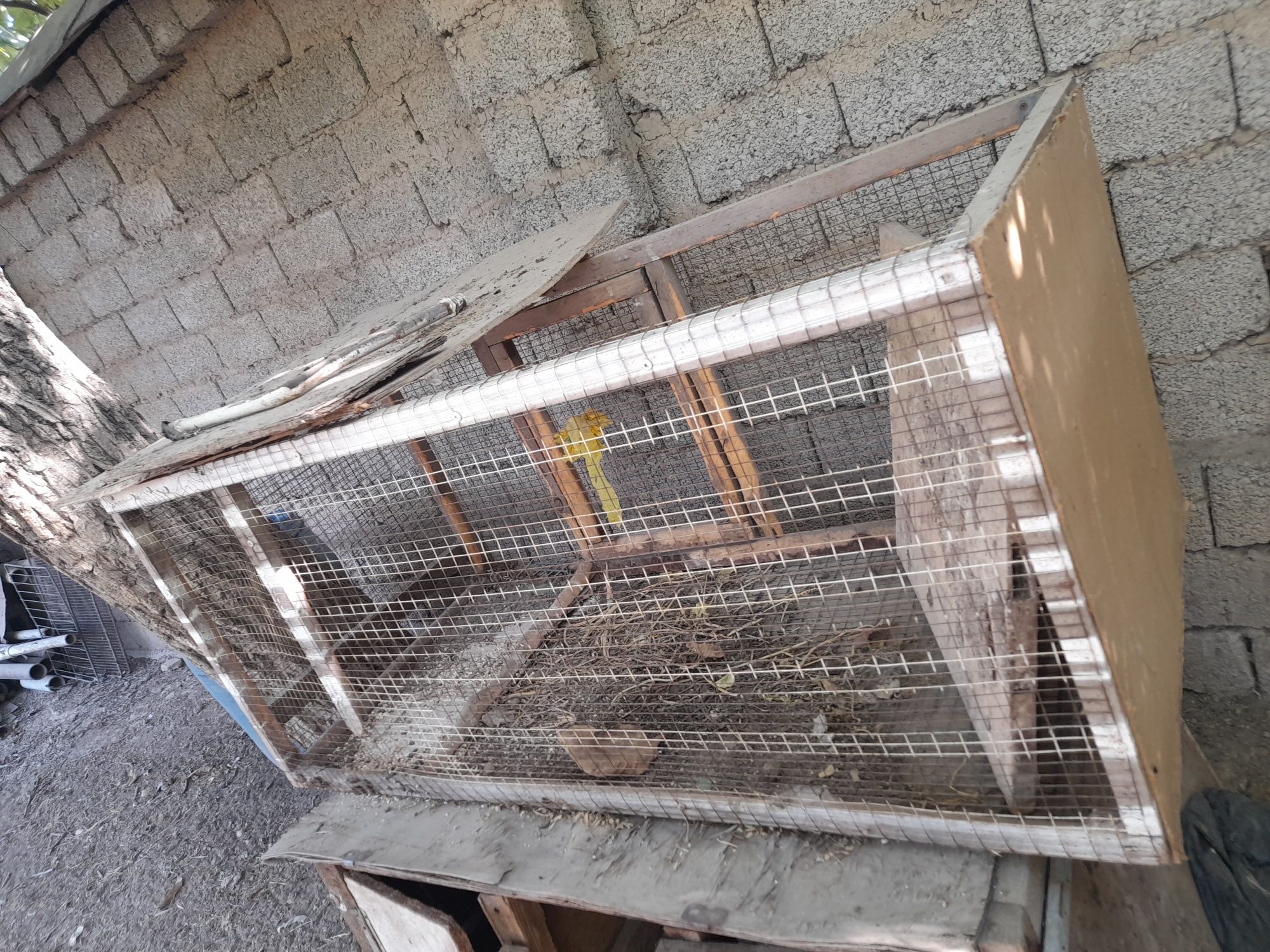 Qafas quyon joja tovuqlarga yaxshi 2ta