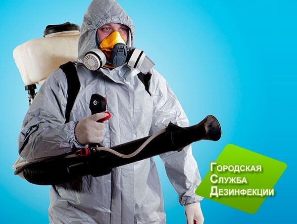 Қандала мен таракандарды жоямыз! 100% Результат!