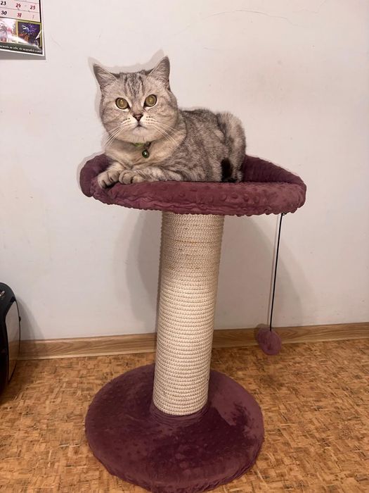 Лежанка для кошки