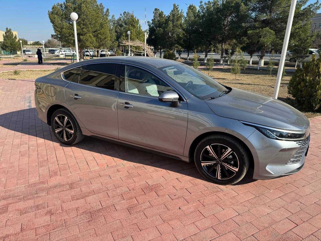 Byd chazor sotladi
