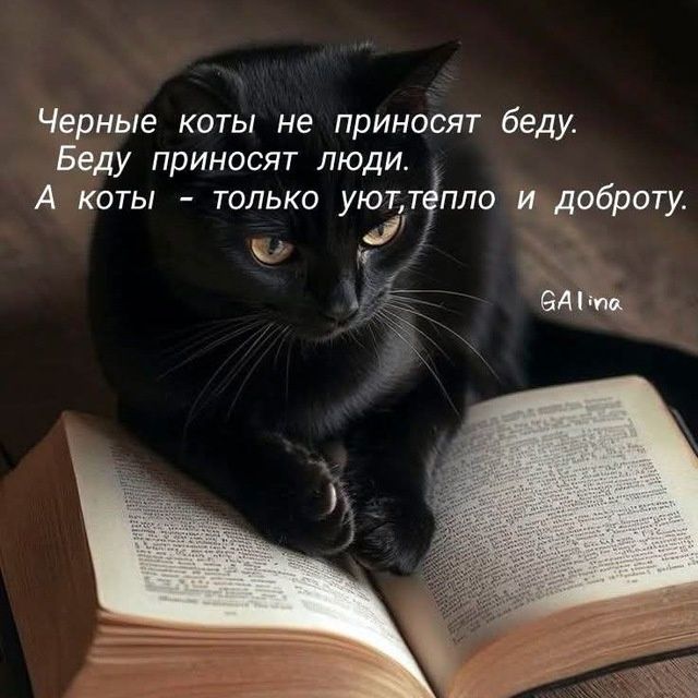 Муж.на Час. Надёжный электрик + сантехника + мелкий ремонт в квартире