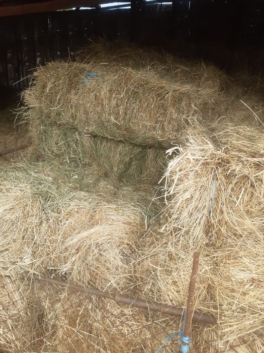 Baloți de fâneață