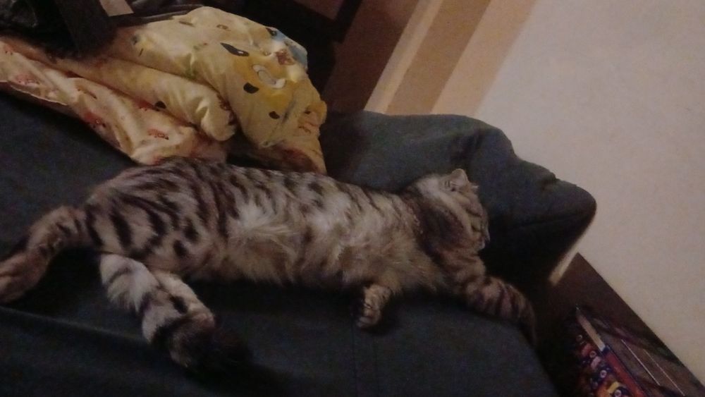 Отдам в добрые руки