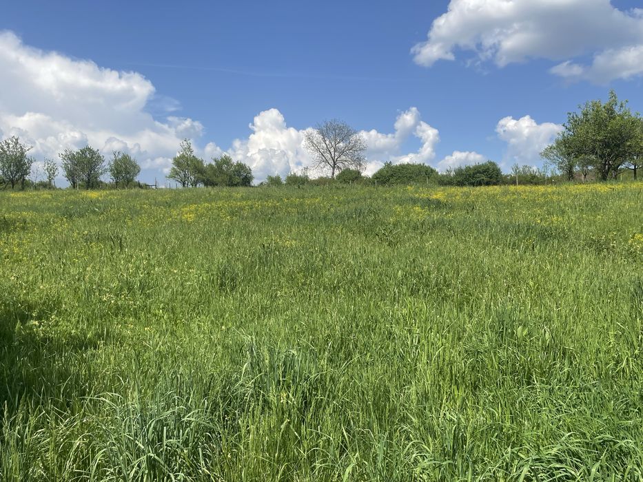 Exclusivitate! Teren intravilan de vanzare - Coldau