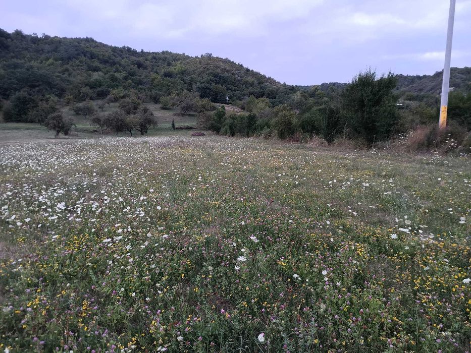 Teren intravilan Casin, strada Mocanitei, suprafata 2100mp