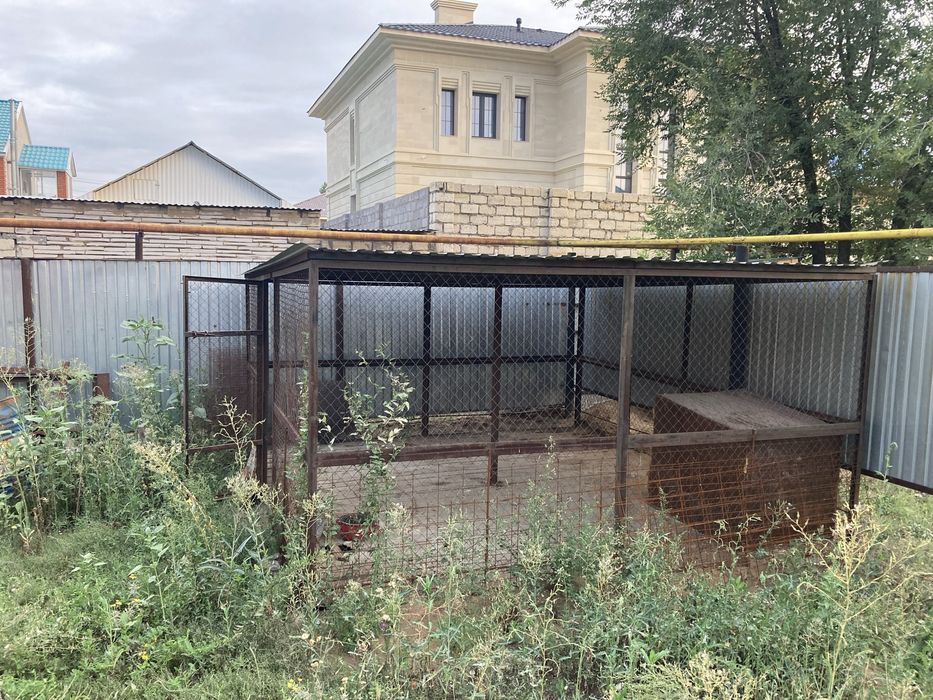 Вольер для собаки