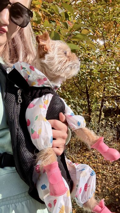 Set de ploaie pentru căței de talie mică – pelerină + cizmulite