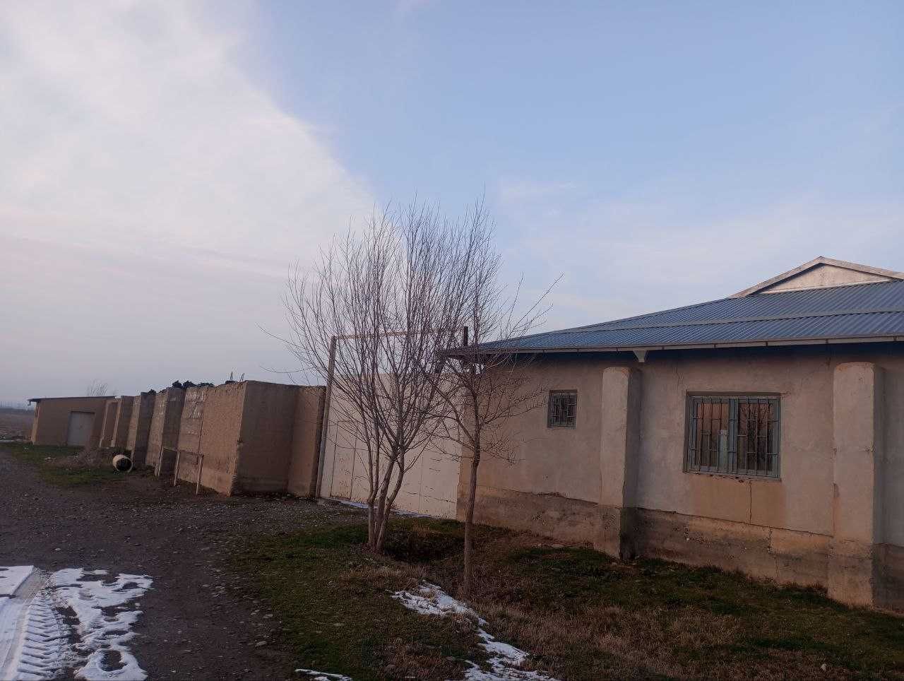 Bulung`ur tumanida ferma binosi bolib tolash sharti asosida sotilmoqda