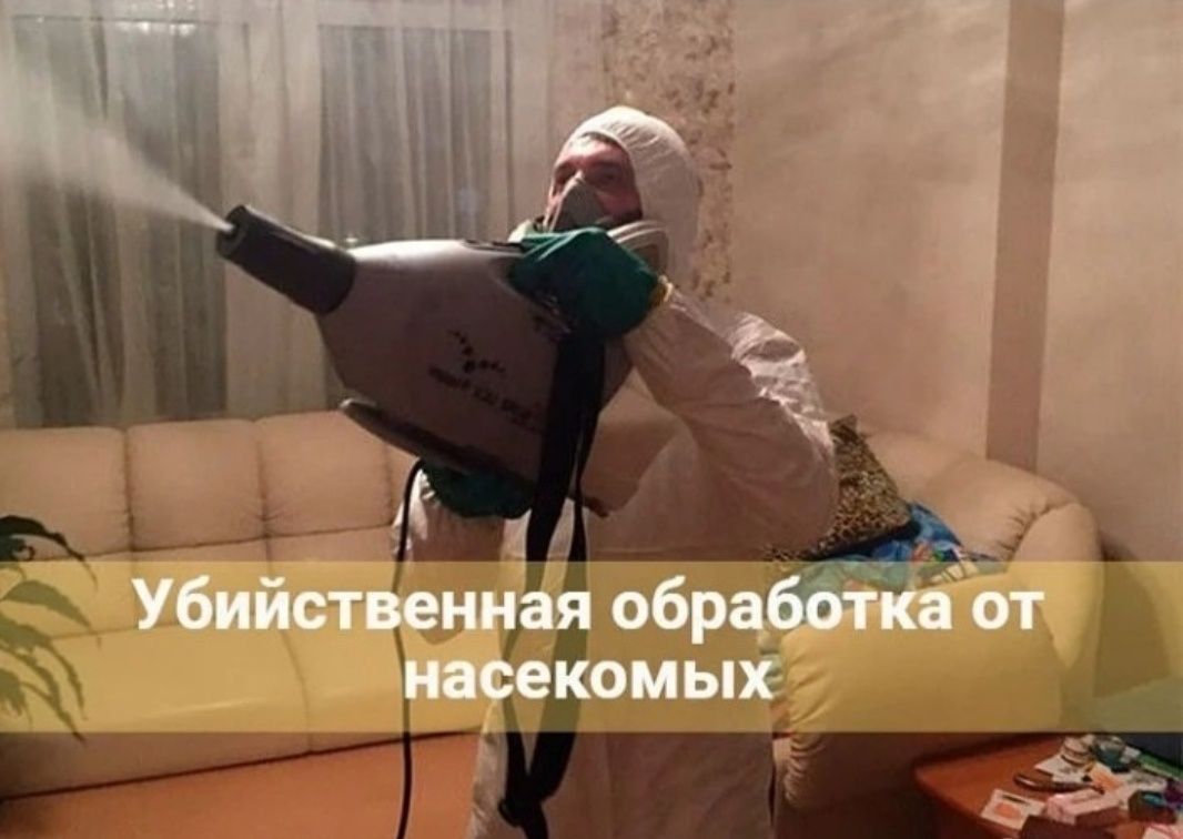 Уничтожение клопов