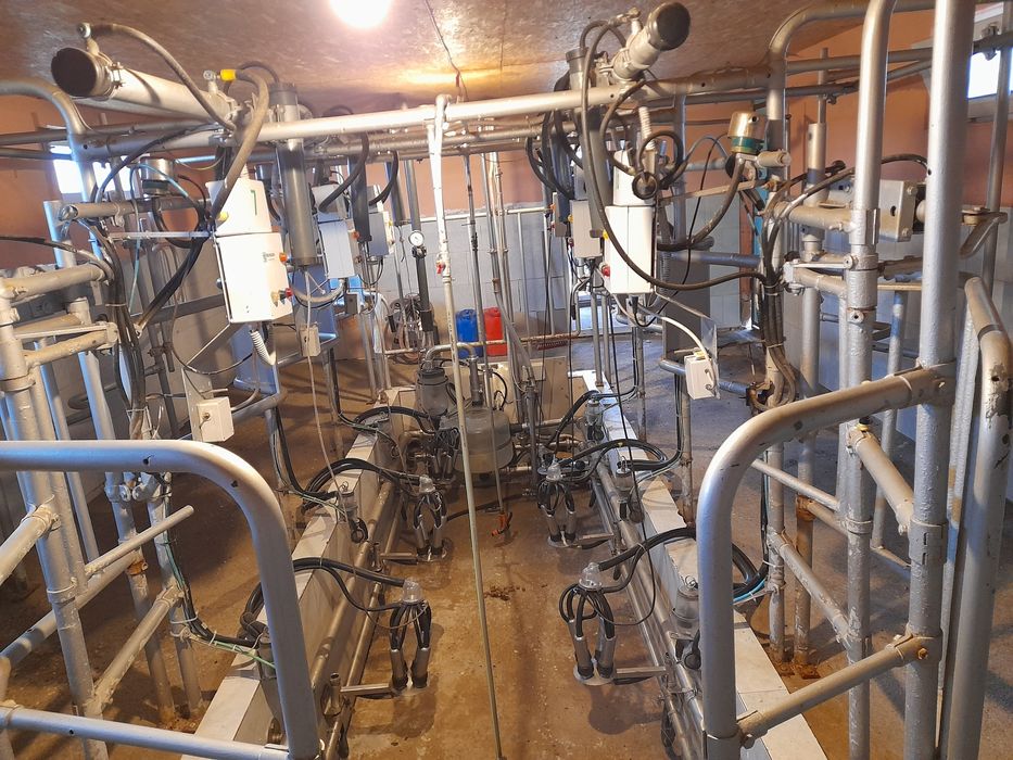 Vând sală de muls  6 capete