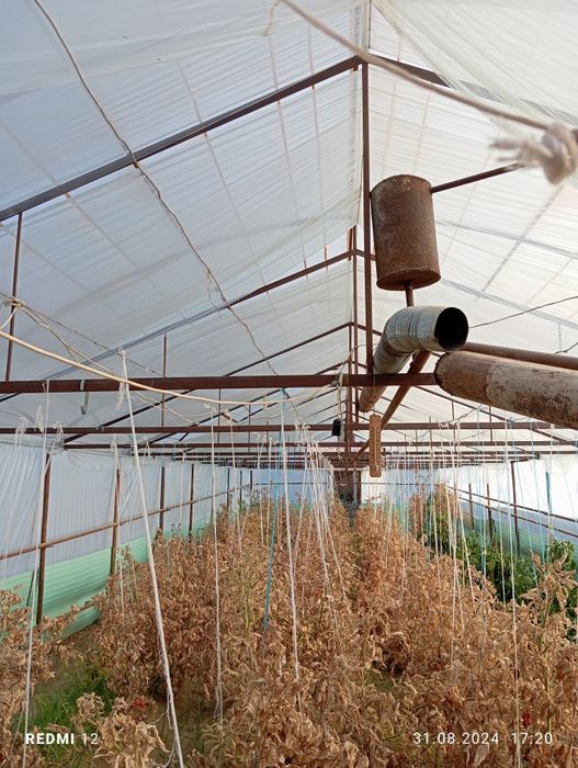 Иссикхона уголникдан