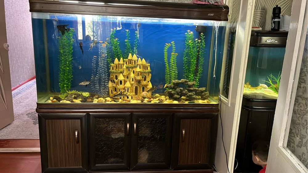 Екі аквариум сатылады