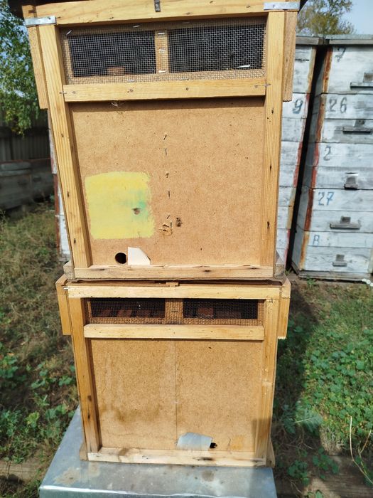 Пчелопокеты 2-х местные . В хорошем состоянии