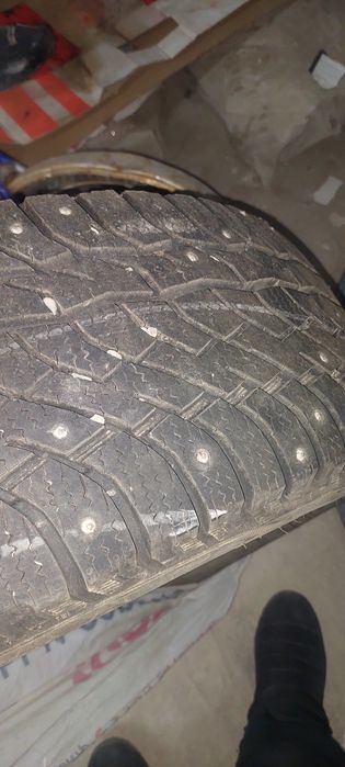 Шины зимние шипованны  почти новый  состояние  95 % нового
