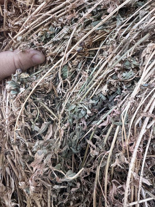 Vand baloti 120x120 fan / lucerna / otava