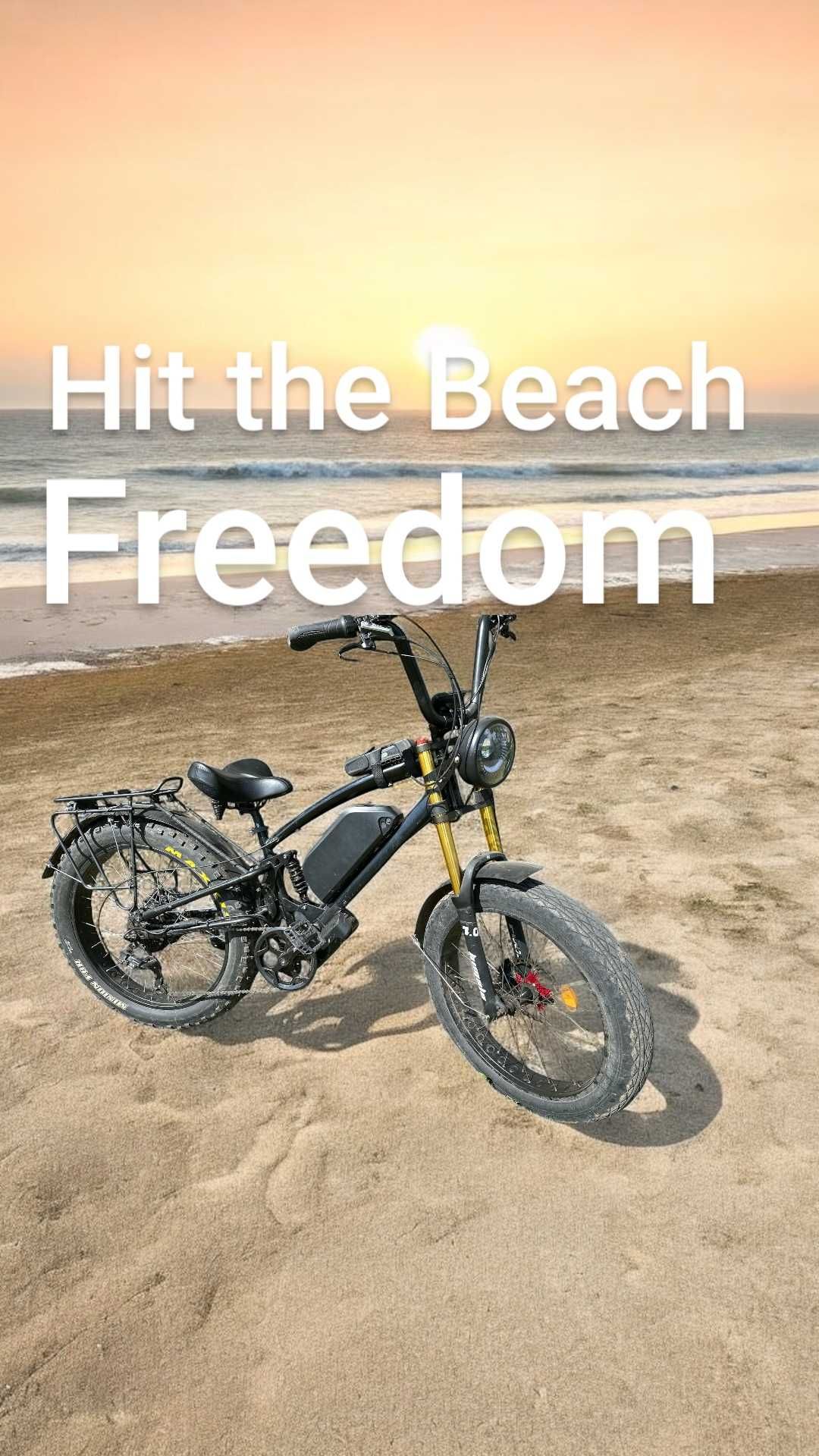 Electric Bike 1000W Rear Motor 20" Fat Tire Battery 48V 24Ah/1150Wh