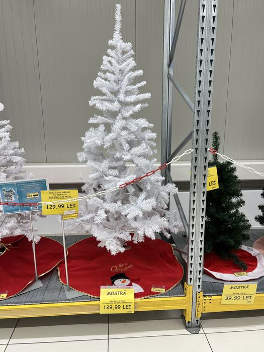 Brad alb din Jumbo