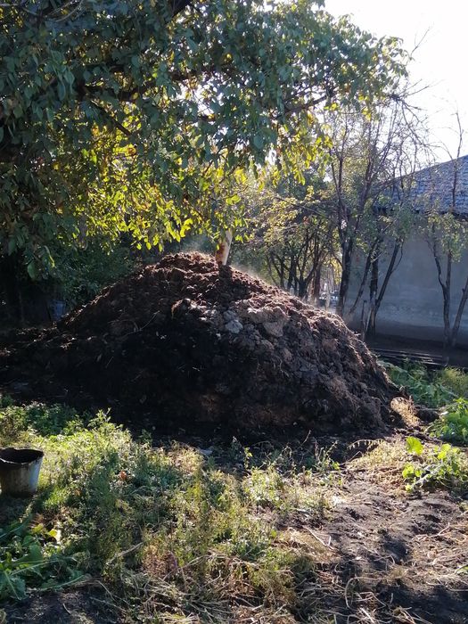 Отдам перегной и навоз