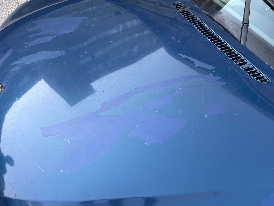 Преден капак за BMW E46 Фейс (седан и комби)