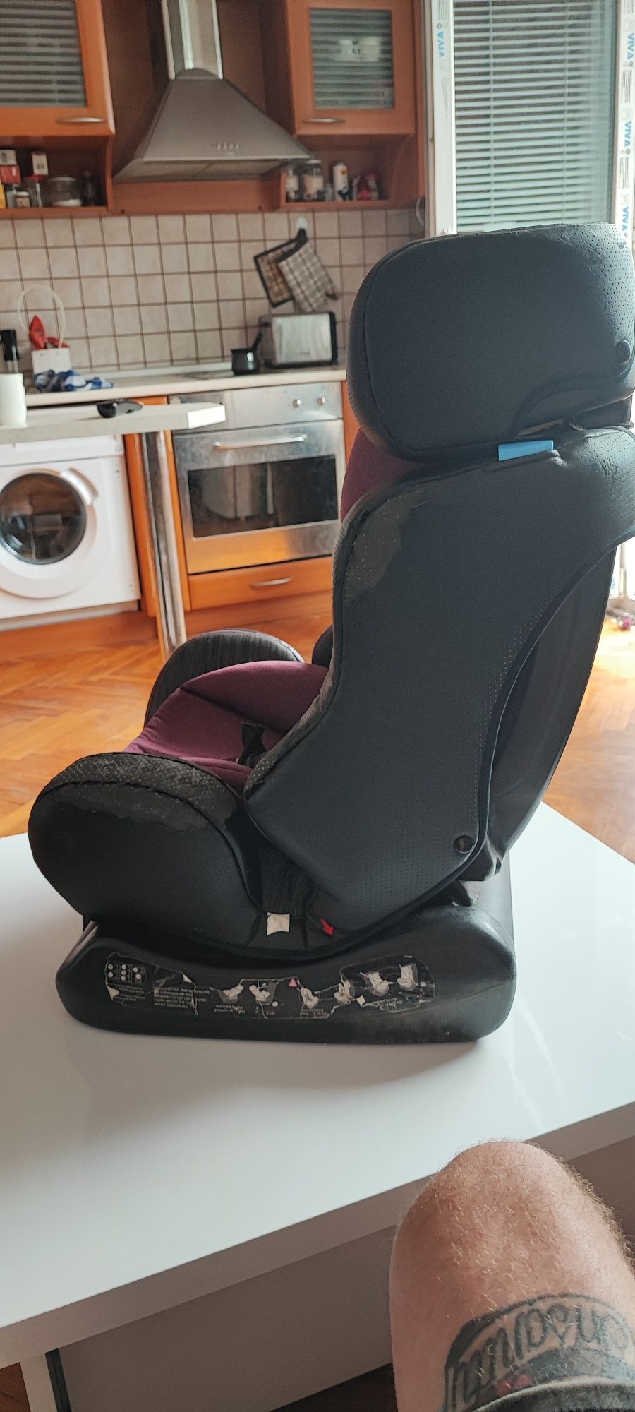 chipolino trax neo
