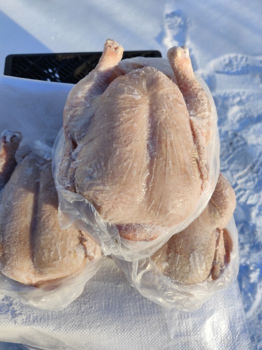 Домашние мясо бройлера!