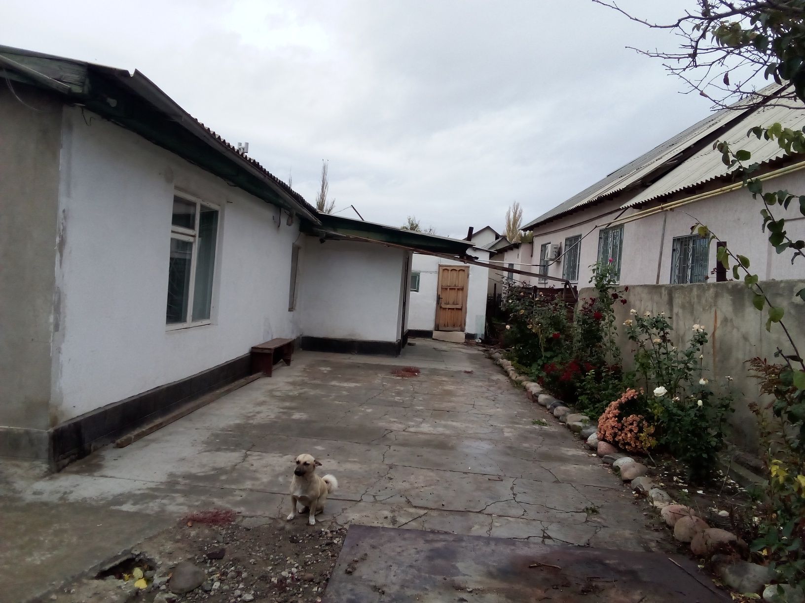 Продам дом 11 сотак