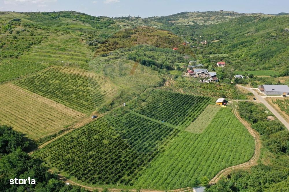 Oportunitate de investitie - Teren de vanzare I 4 ha I certificat ECO