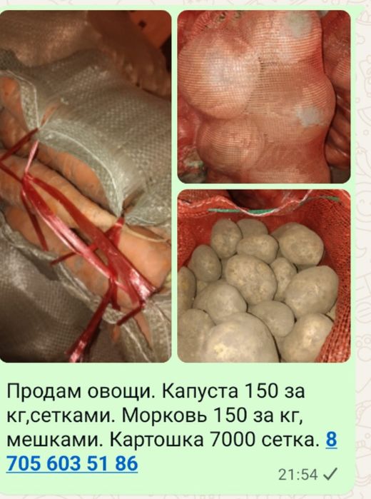 Продам овощи морковь,картошка, капуста