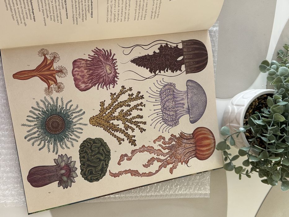 Книга Музеят на животните