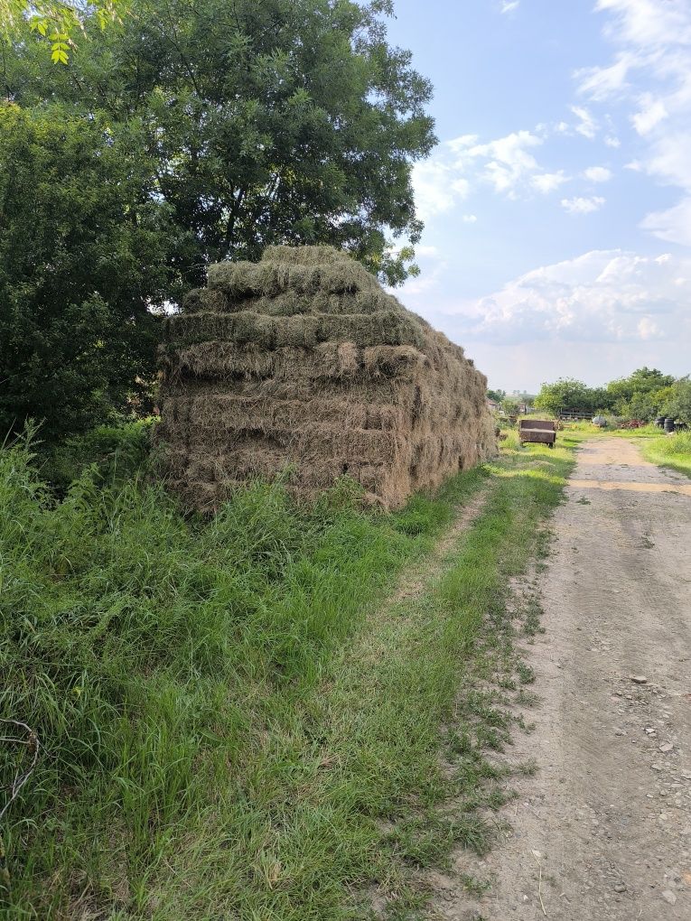 Vând baloți de fân