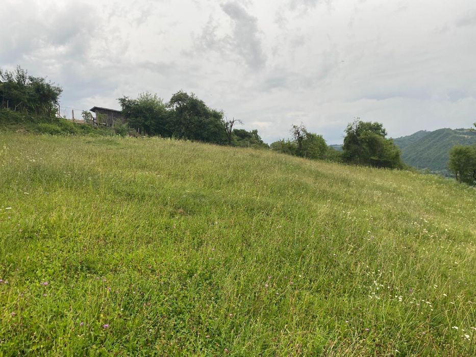 Vand teren intravilan 31 arii