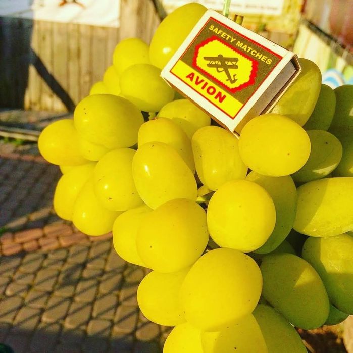 Vita de vie soiul Bananas