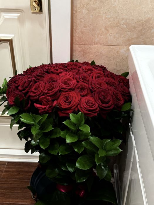 Голландские Розы