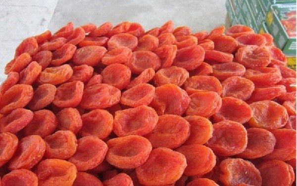 O'rik turshak sotiladi. Bargak kelishiladi