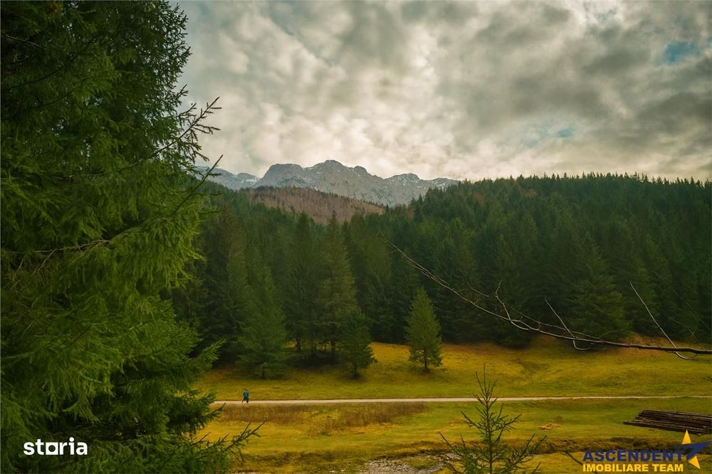 Teren intravilan panoramic 4.600mp,view iconic Piatra Craiului,oportun