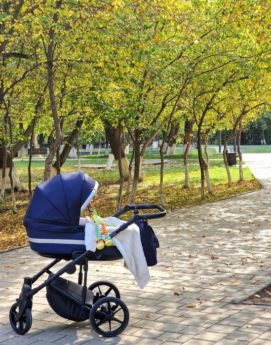 Коляска Adamex Remini