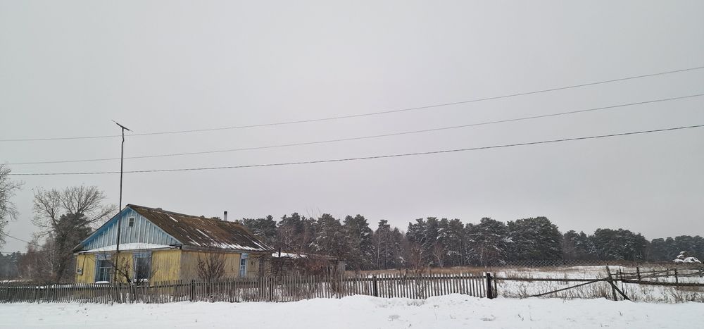 Продам участок у леса — почти 1 гектар с домиком и светом!