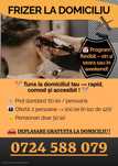 Tuns La Domiciliu – Deplasare Gratuită! Rapid, Comod Si Accesibil