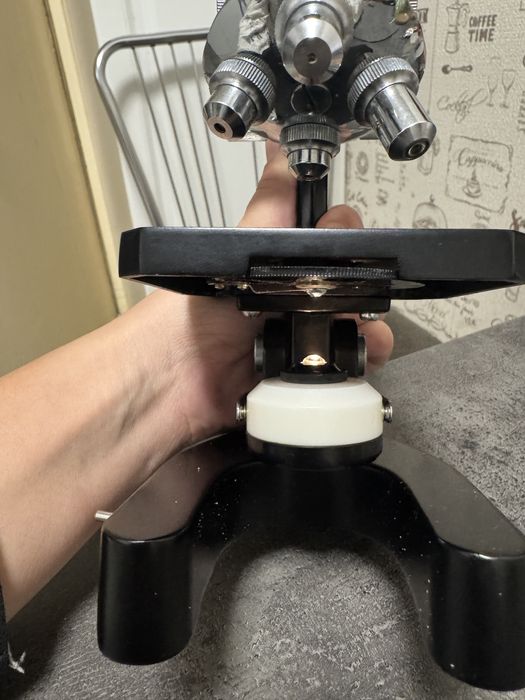 Microscop Revue Japan