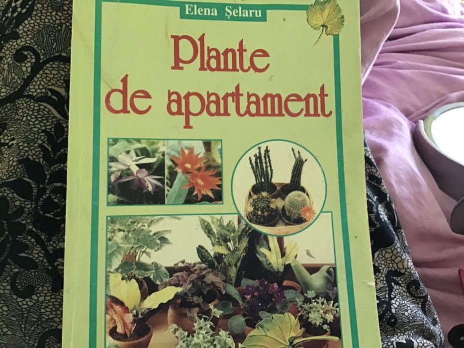 Plante de apartament Elena Selaru