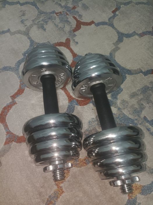 Гантельи 20кг по 10