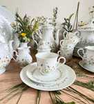 Set vesela portelan englez 6 persoane Royal Tettau