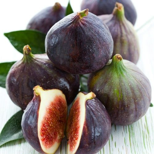 Pomi Fructiferi Exotici la Ghiveci (Smochin )